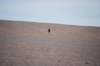dsc_0139_small.jpg