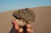 dsc_9922_small.jpg