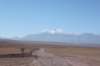 atacama2016160219104604img_1483_small.jpg