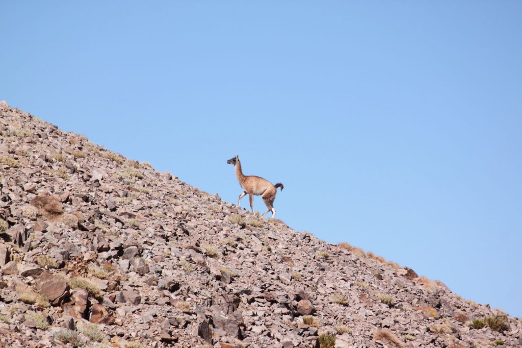 atacama2016160220104402img_1648.jpg