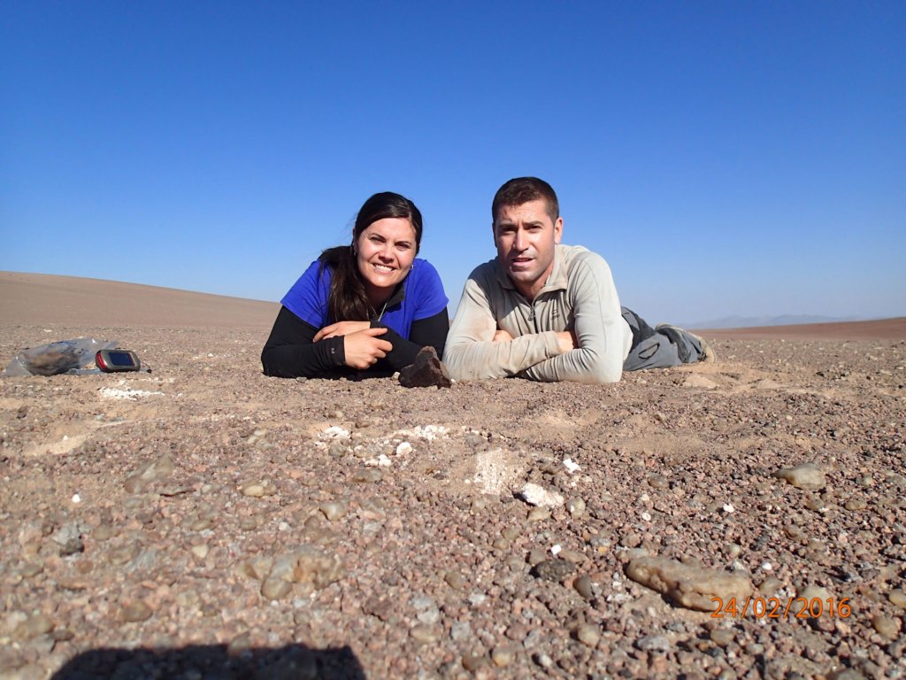 atacama2016160224094441p2240104.jpg