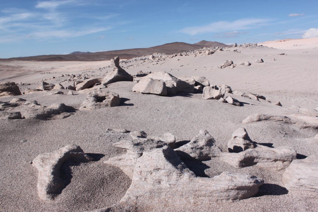 atacama2016160224180022img_2044.jpg