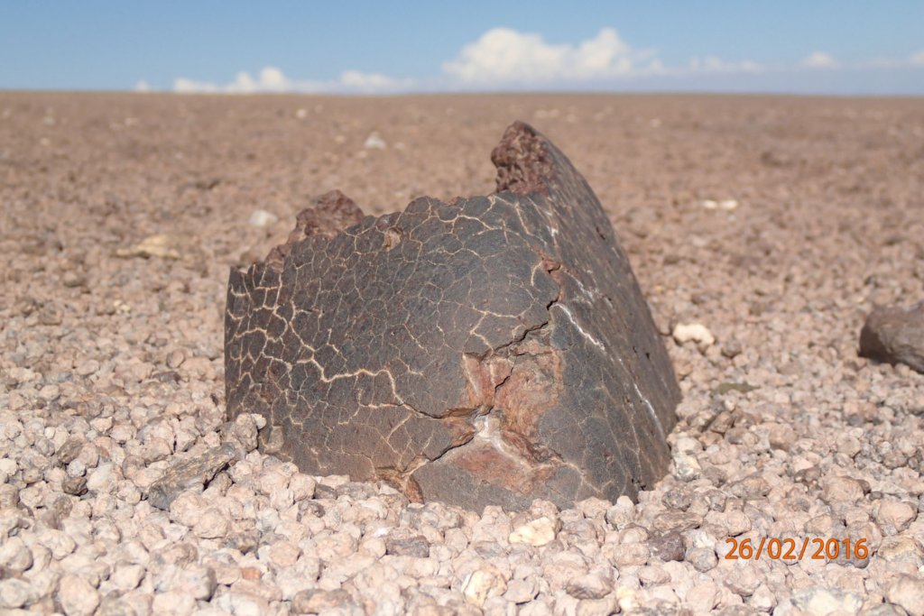 atacama2016160226164548p2260136.jpg