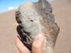 atacama2016160226165633dscn6232_small.jpg