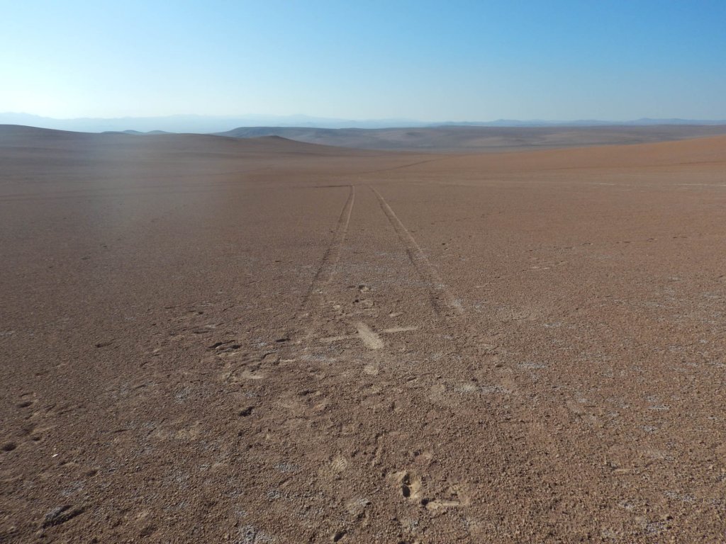 chile20182200.jpg