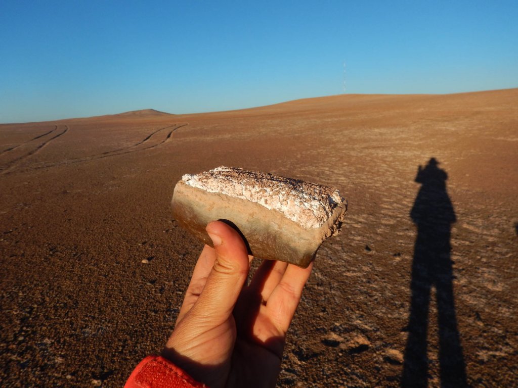 chile20182340.jpg