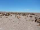 chile20182489_small.jpg