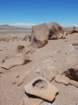 chile20182494_small.jpg