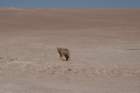 a_1227_small.jpg