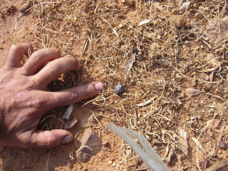 tercermeteoritoanenelsuelo.jpg