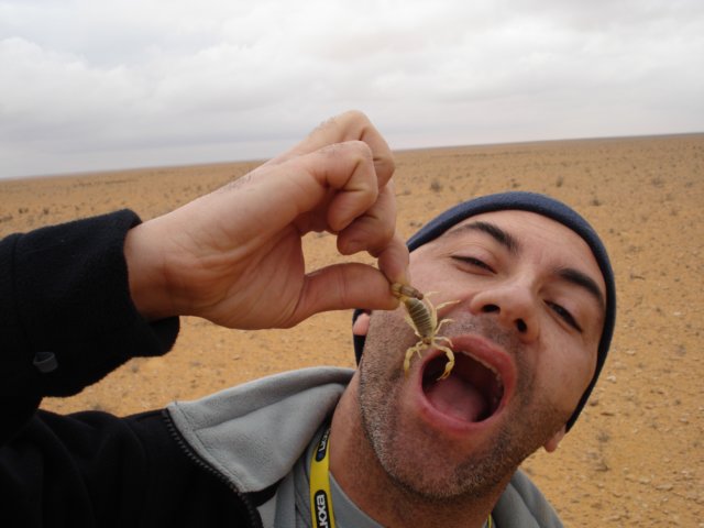 esigualseguroquesepuedecomer.jpg