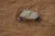 laspiedrasdeslextomancoloresincrebles_small.jpg