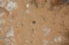 dsc_3778_small.jpg