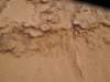 dscn2322_small.jpg